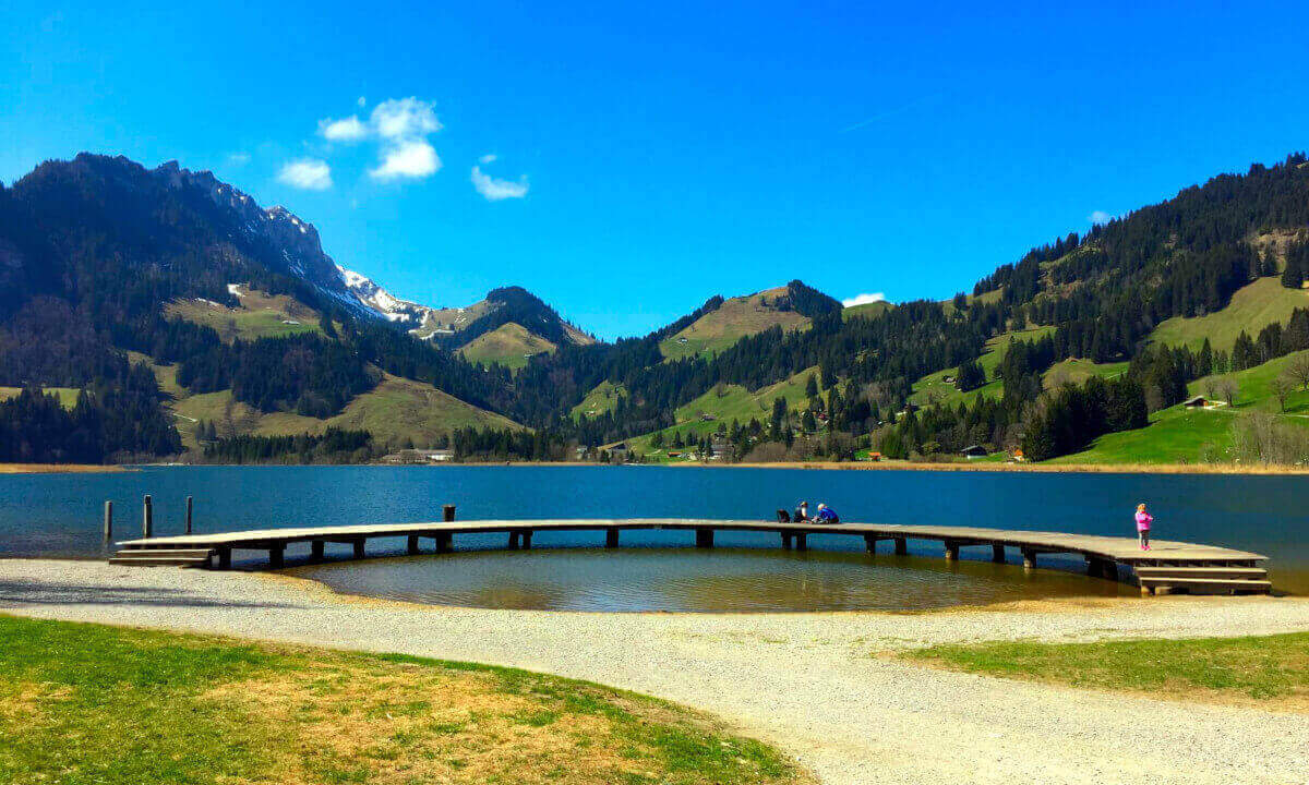 swiss schwarzee promo workcamp