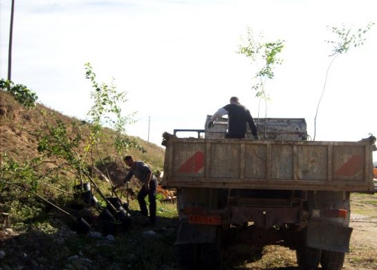 Δενδροφύτευση στην Λάρισα από εθελόντρια EVS της ΕΛΙΞ