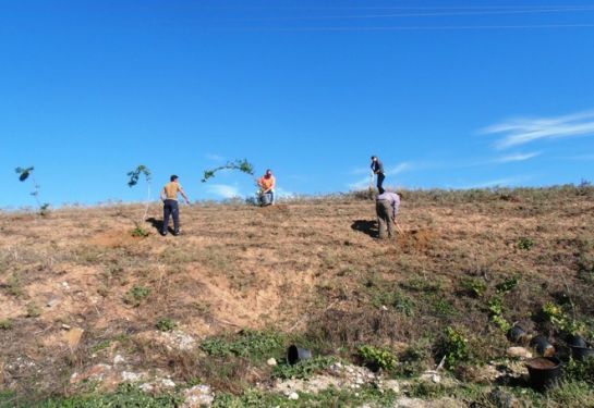 Δενδροφύτευση στην Λάρισα από εθελόντρια EVS της ΕΛΙΞ